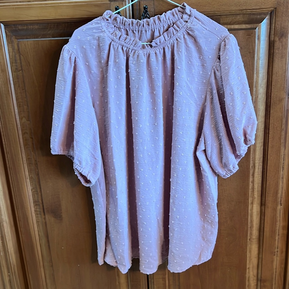 SHEIN Plus Size Casual Blouse, Women's Plus Plain Swiss Dot.